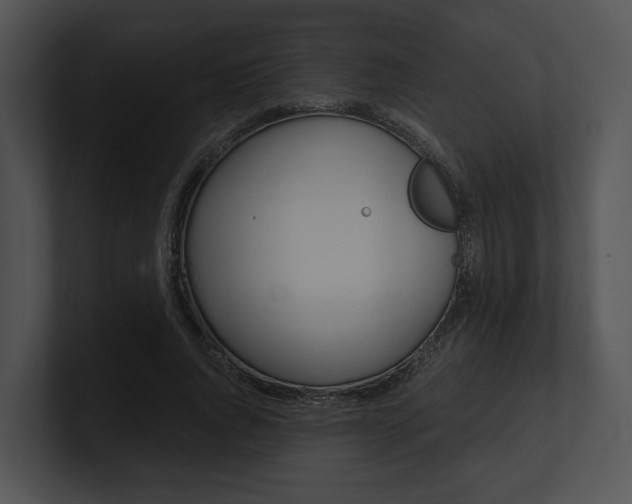 X0000100950736200806241122