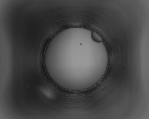 X0000100950739200806241122