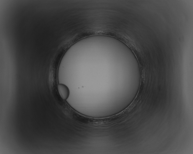 X0000100950740200806241122