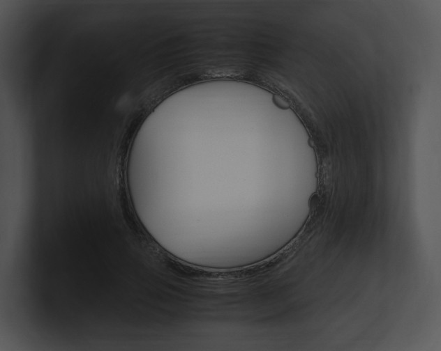 X0000100950741200806241122
