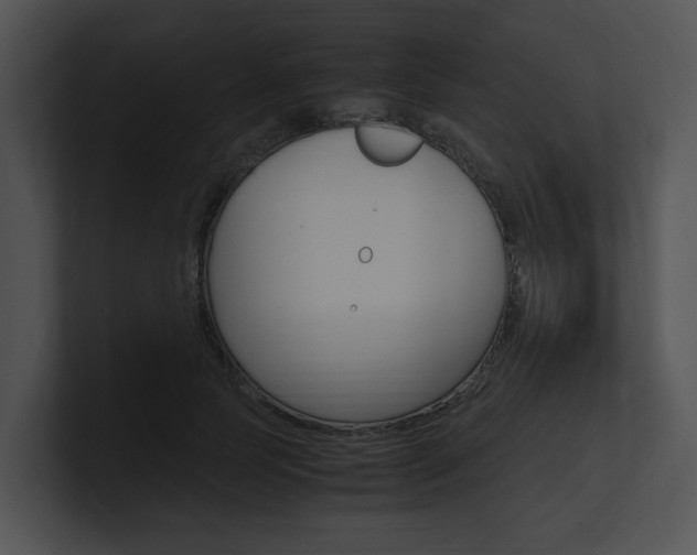 X0000100950745200806241122
