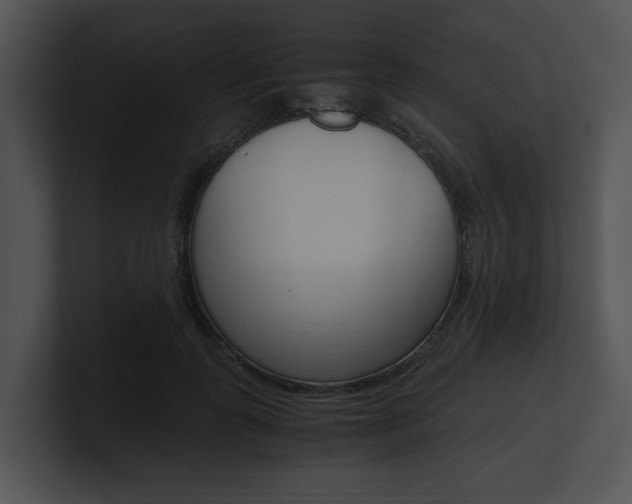 X0000100950747200806241122