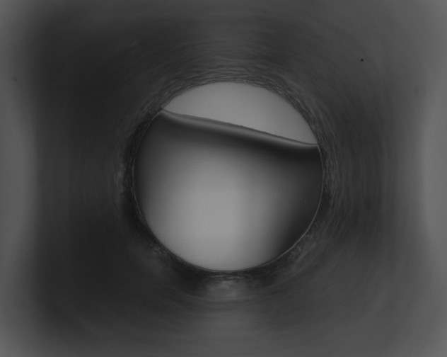 X0000100950750200806241122