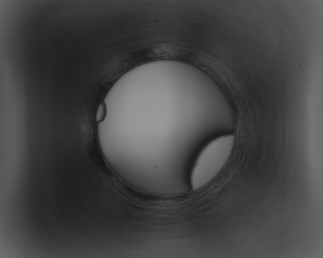 X0000100950751200806241122