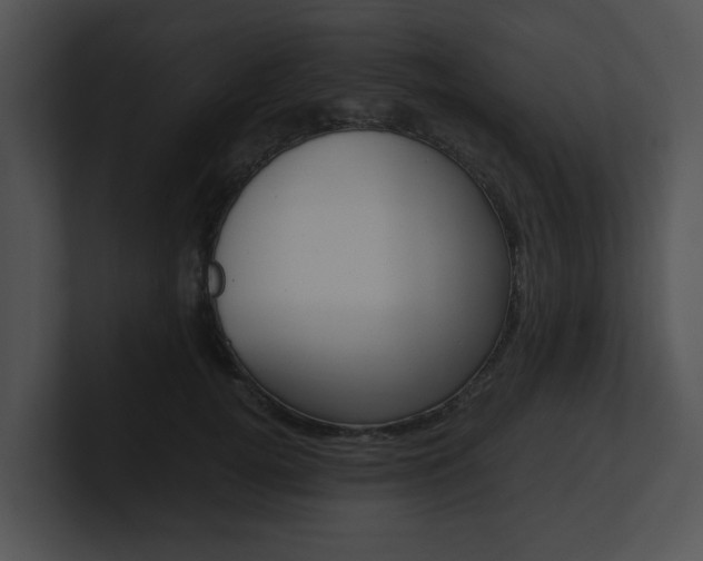 X0000100950752200806241122