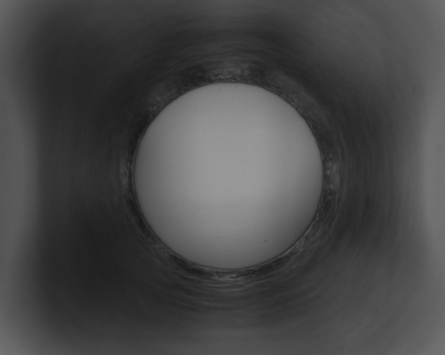 X0000100950753200806241122