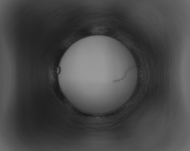 X0000100950755200806241122