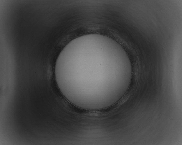 X0000100950758200806241122