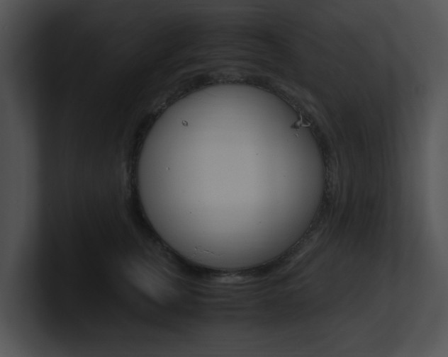 X0000100950759200806241122