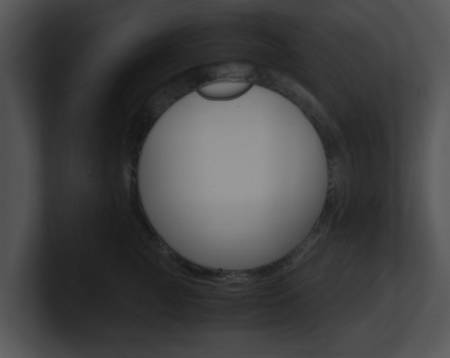 X0000100950761200806241122