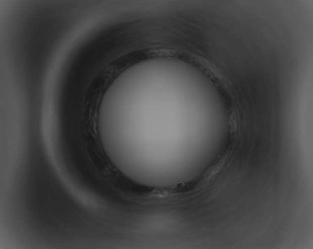 X0000100950764200806241123