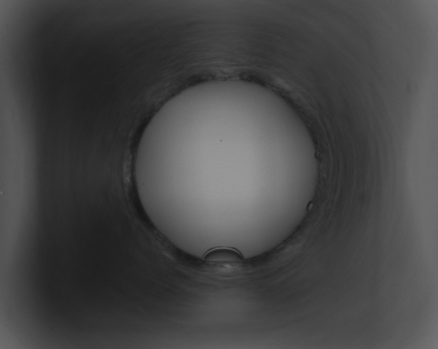 X0000100950768200806241123