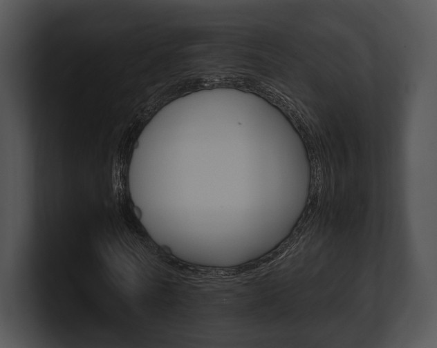 X0000100950770200806241122