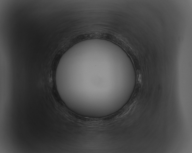 X0000100950771200806241122
