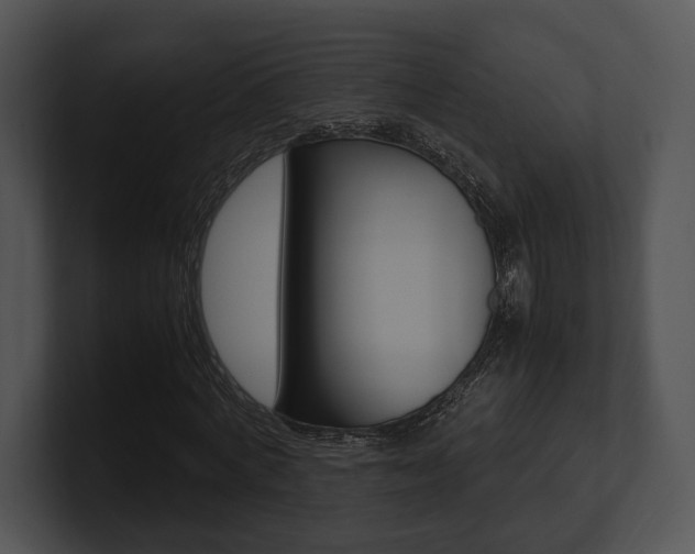 X0000100950772200806241122
