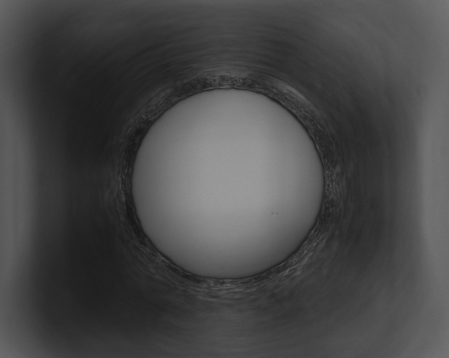 X0000100950774200806241122