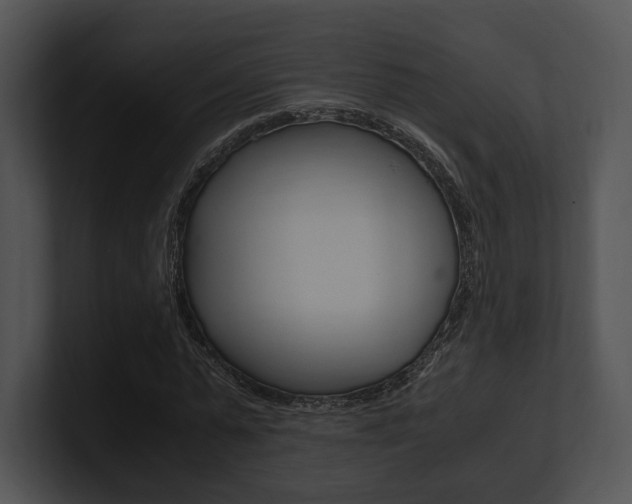 X0000100950775200806241122
