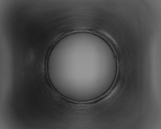 X0000100950777200806241122