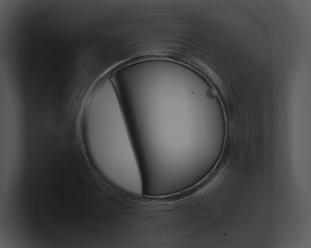 X0000100950779200806241122