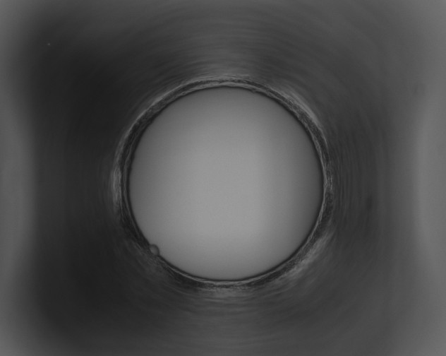 X0000100950781200806241122