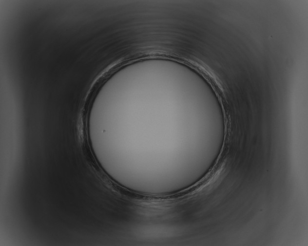 X0000100950782200806241122