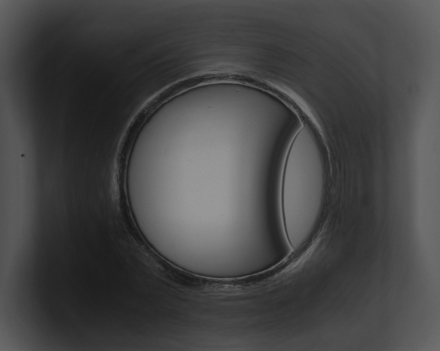 X0000100950783200806241122