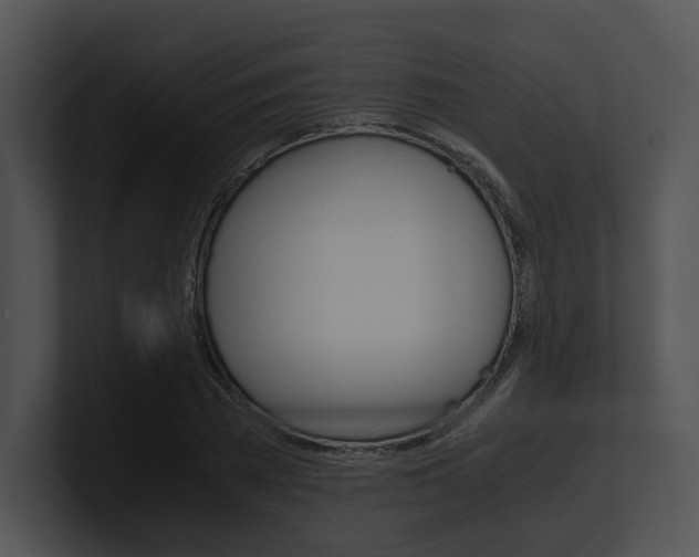 X0000100950785200806241122