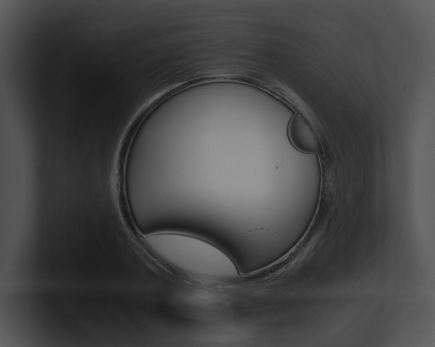 X0000100950787200806241122