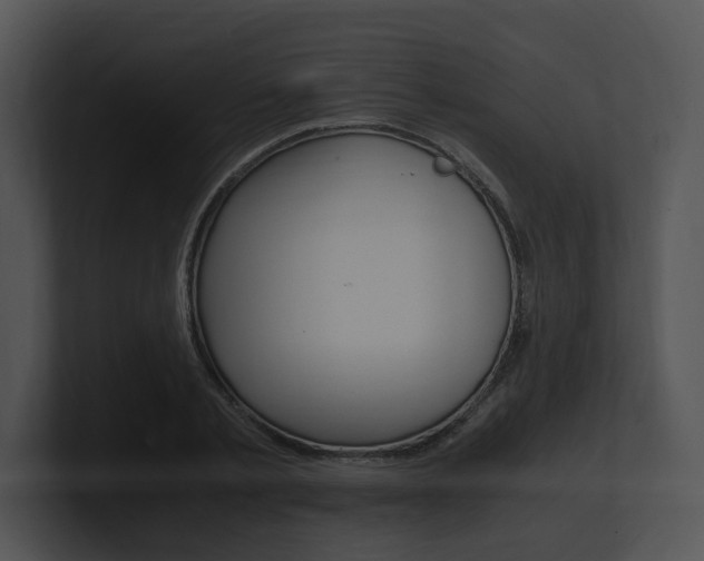 X0000100950789200806241122