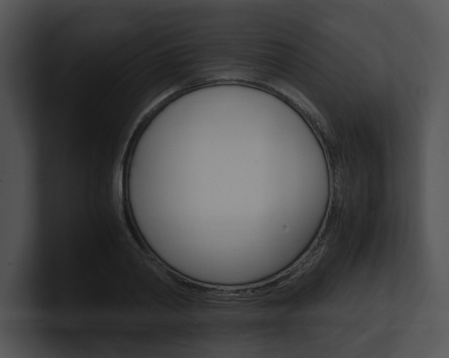 X0000100950790200806241122