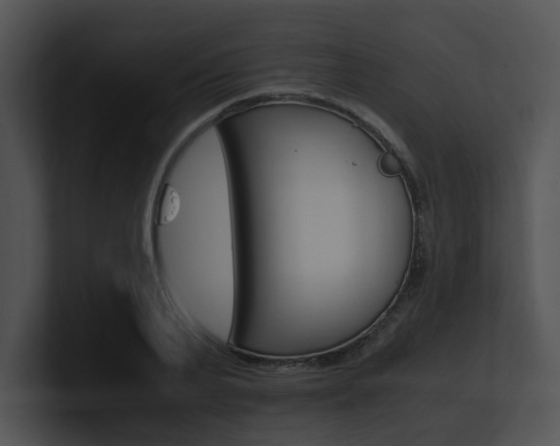 X0000100950791200806241122