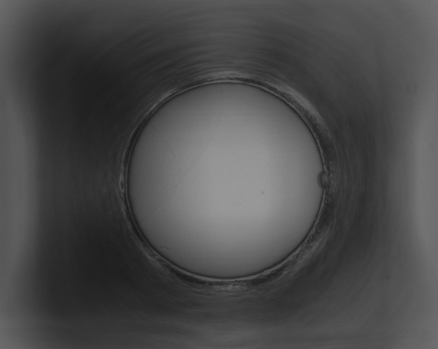 X0000100950793200806241122