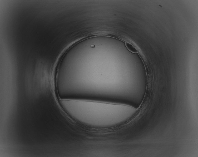 X0000100950795200806241122