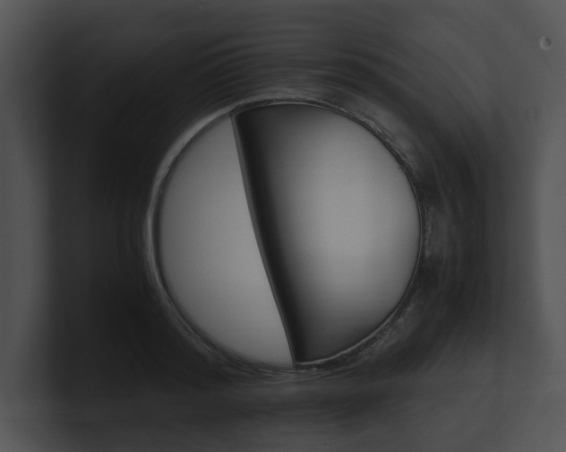 X0000100950796200806241122