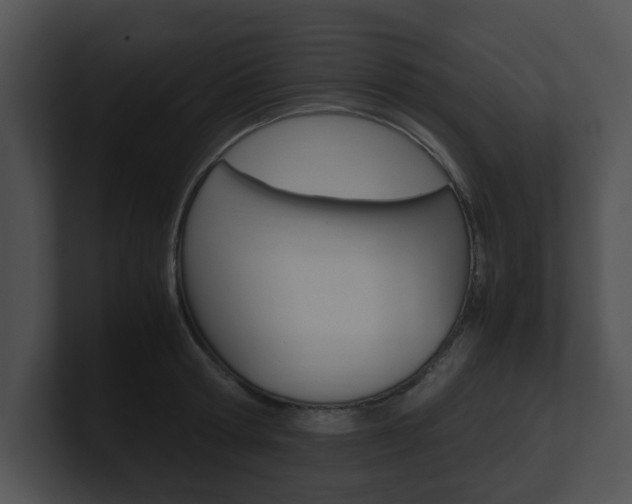 X0000100950802200806241121