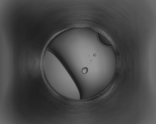 X0000100950803200806241121