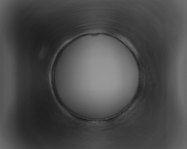 X0000100950805200806241121