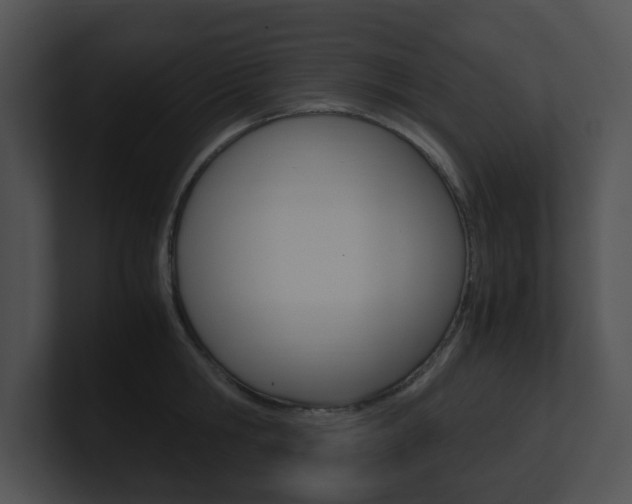X0000100950806200806241121