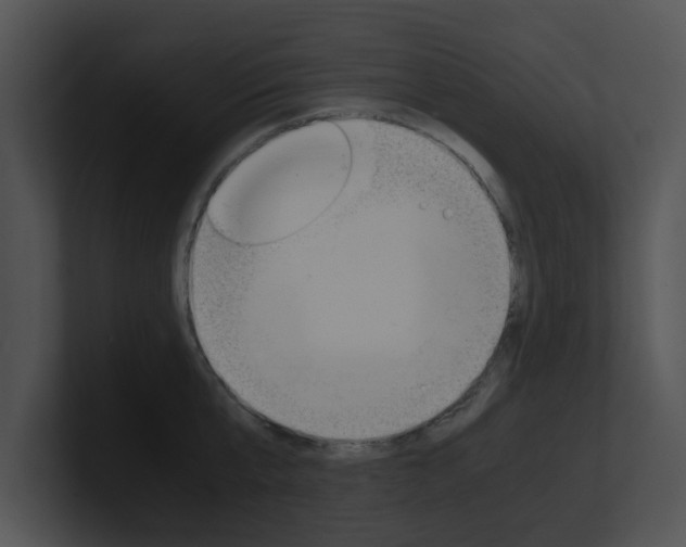 X0000100950807200806241121