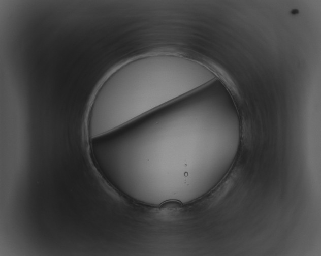 X0000100950808200806241121