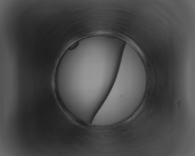 X0000100950810200806241121
