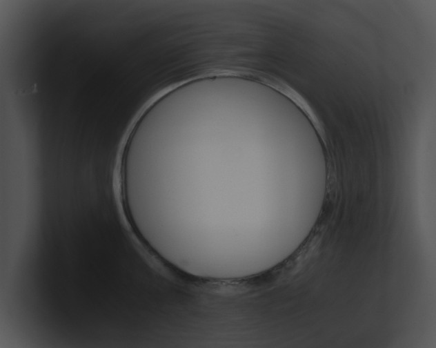 X0000100950811200806241121