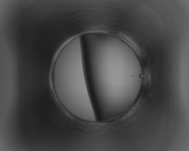X0000100950812200806241121