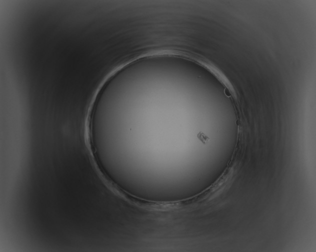 X0000100950813200806241121