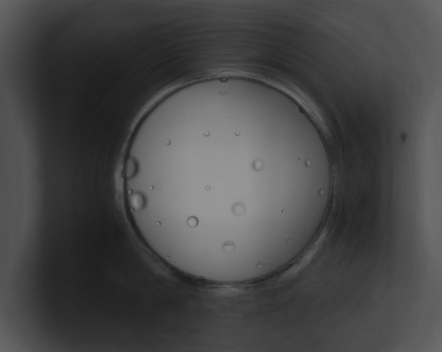 X0000100950814200806241121