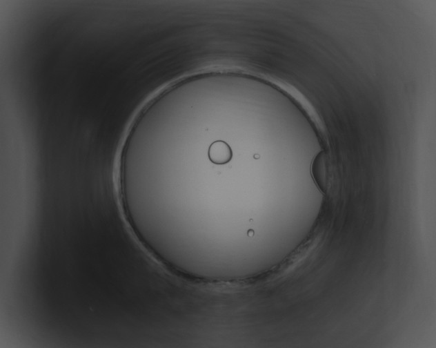 X0000100950815200806241121