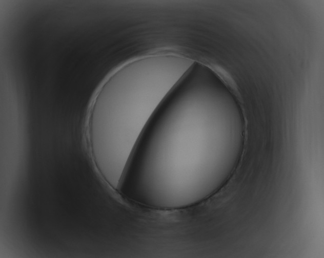 X0000100950816200806241121