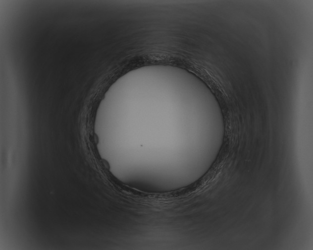 X0000100950817200806241121