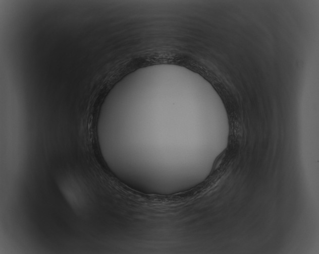 X0000100950818200806241121