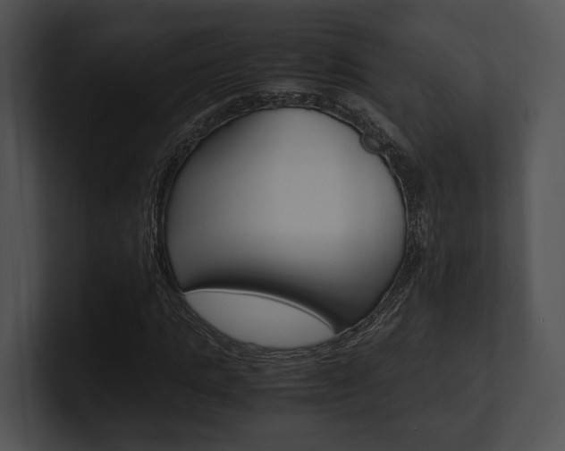 X0000100950821200806241121
